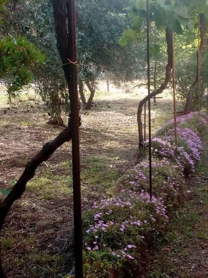 Apartamento Residenza Agrituristica Santa Lucia Con Piscina *