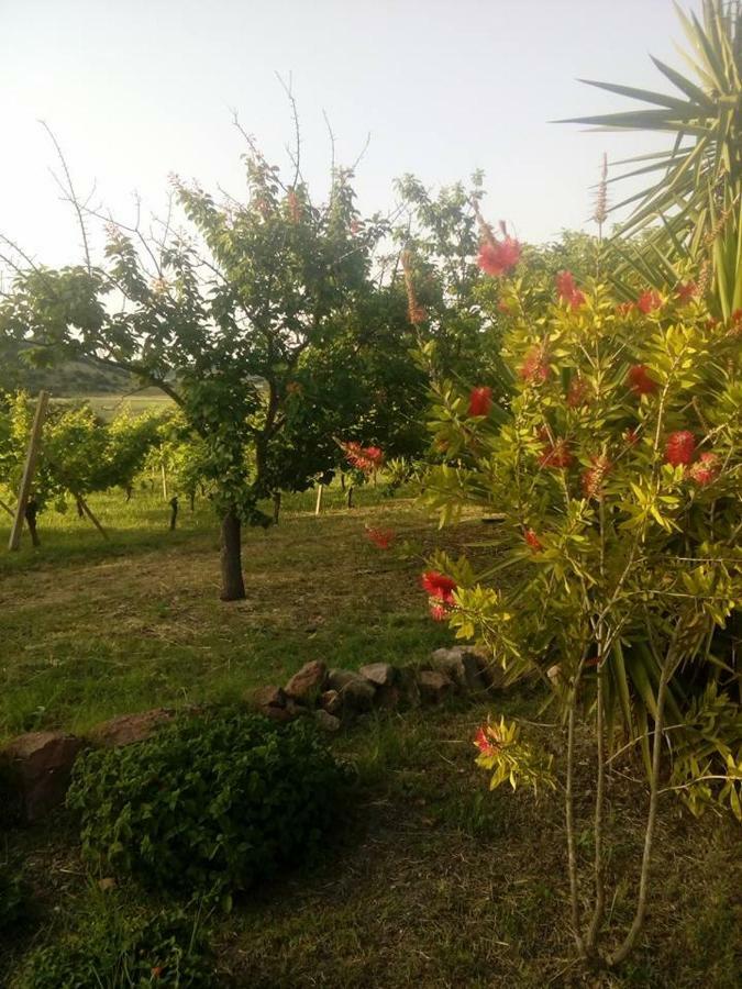 Residenza Agrituristica Santa Lucia Con Piscina * Alghero